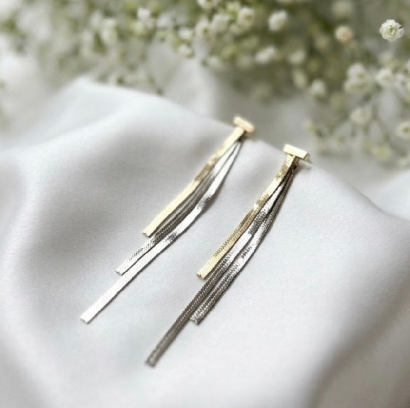 Triton Dual Tone Drop Chain Earrings