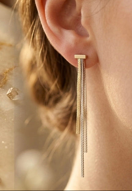 Triton Dual Tone Drop Chain Earrings