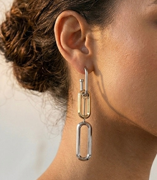 Titania Dual Tone Link Chain Earings